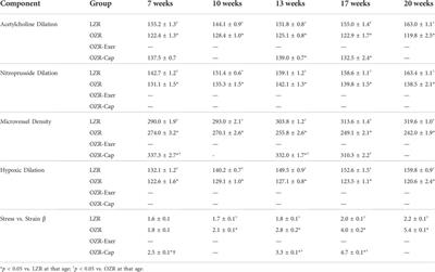 A novel vascular health index: Using data analytics and population health to facilitate mechanistic modeling of microvascular status